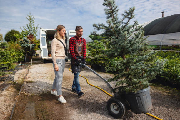 Lawn Watering Services in Park City, UT